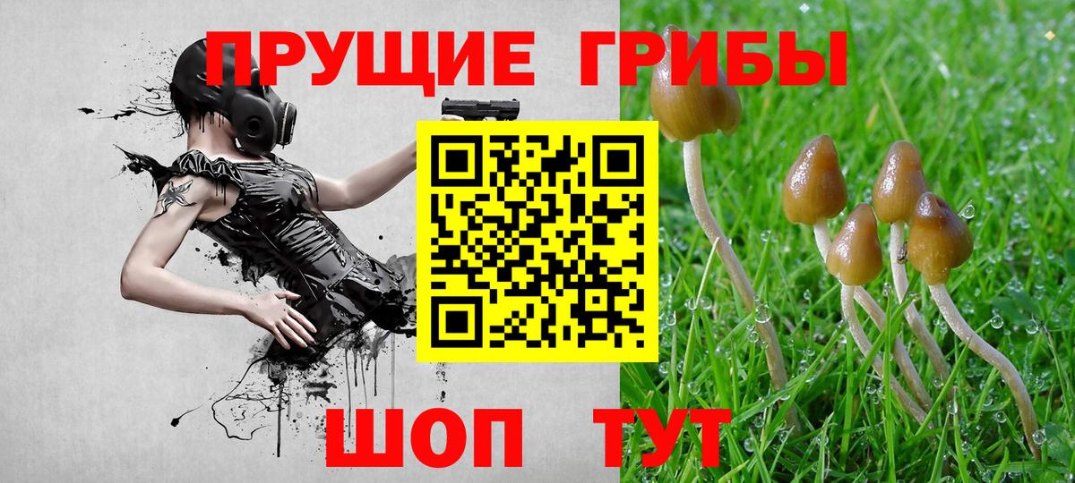 Псилоцибиновые грибы мицелий Фрязино