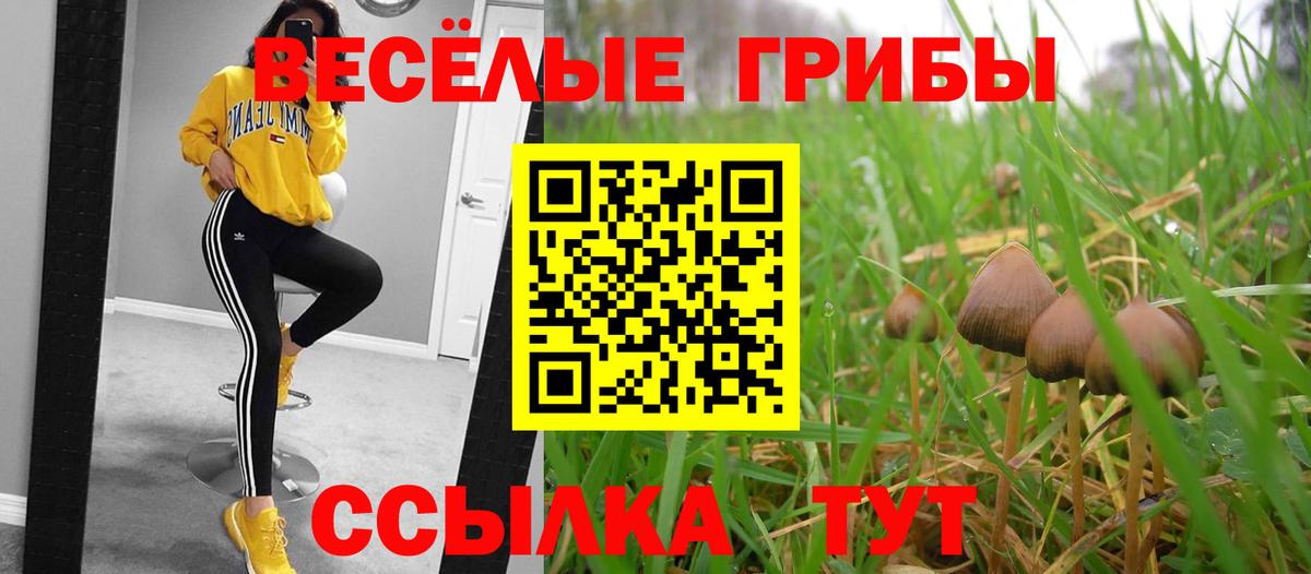 Псилоцибиновые грибы мицелий  Вход с VPN  Фрязино 